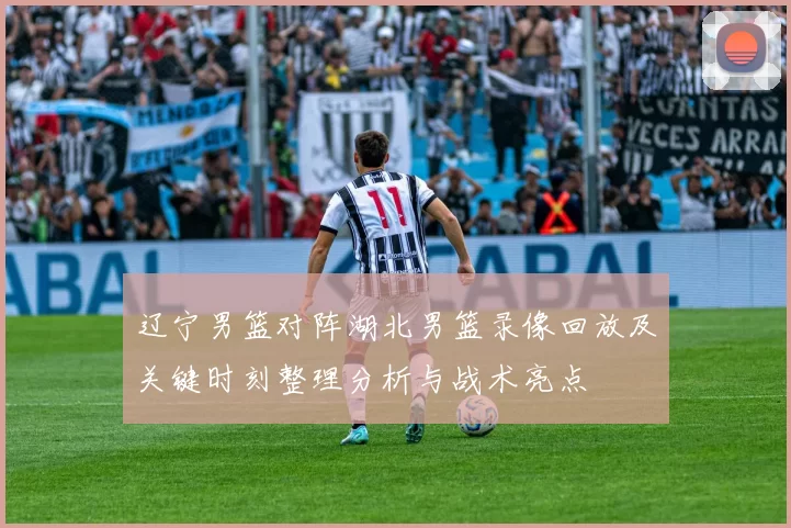 辽宁男篮对阵湖北男篮录像回放及关键时刻整理分析与战术亮点