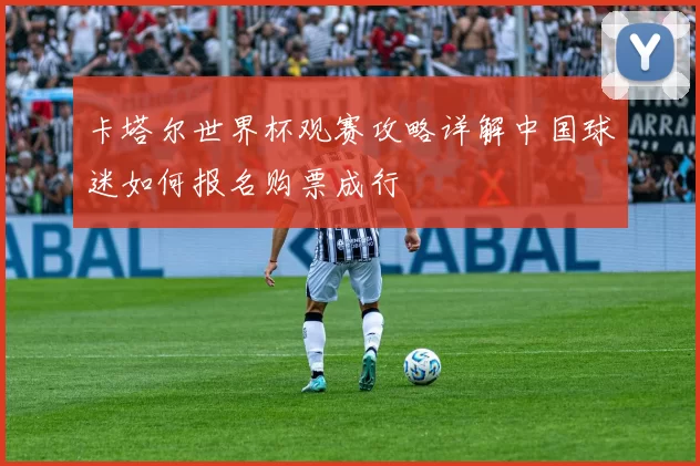 卡塔尔世界杯观赛攻略详解中国球迷如何报名购票成行
