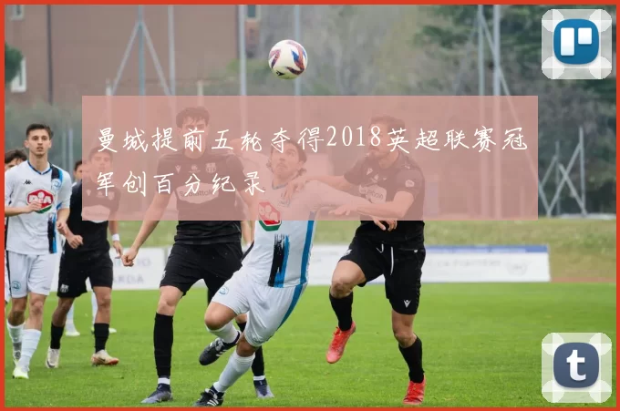 曼城提前五轮夺得2018英超联赛冠军创百分纪录