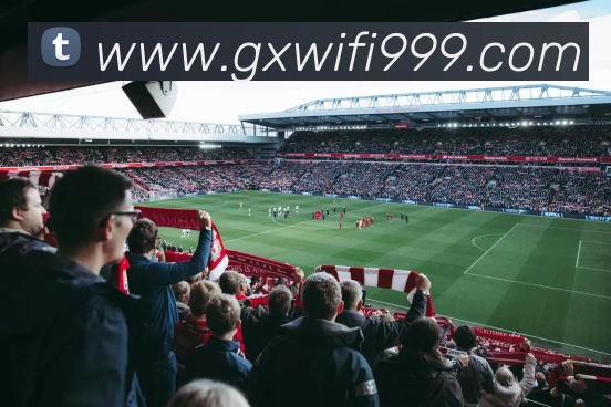 奇异果官方网站 - 奇异果(中国)品牌故事