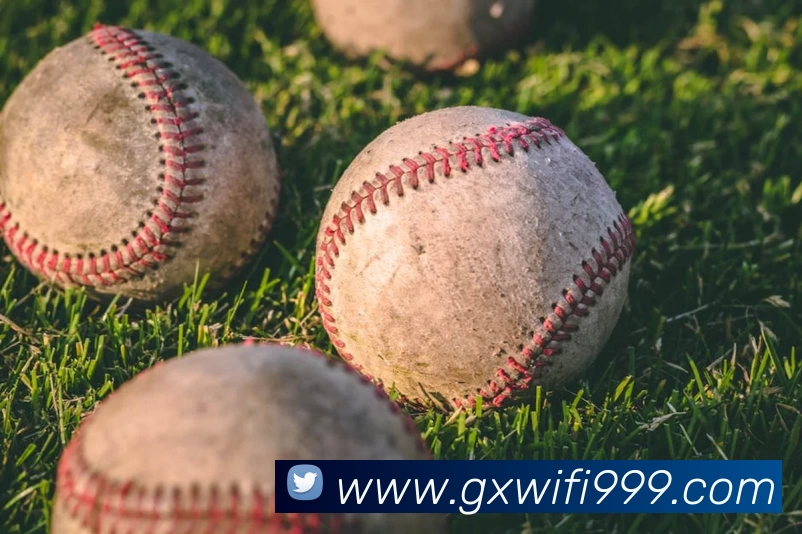 奇异果官方网站 - 奇异果(中国)服务体系